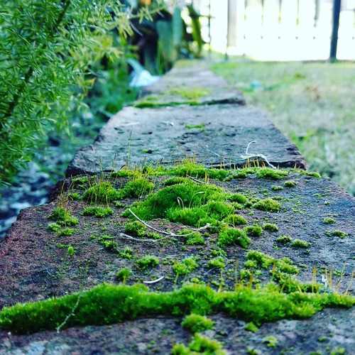 IMG_20180624_145501_136