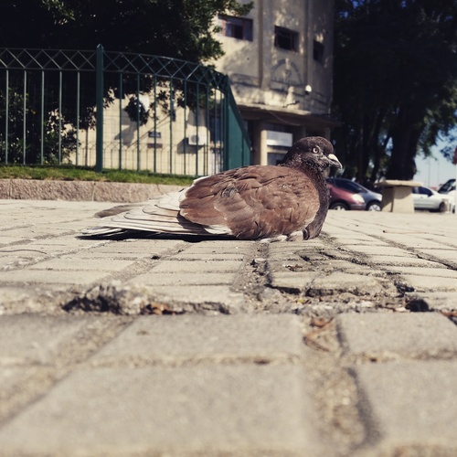 IMG_20170517_134415_510