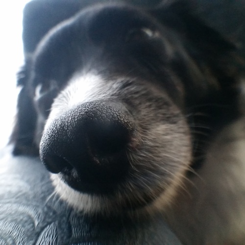 IMG_20170628_085218_065