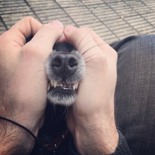 IMG_20170705_093244_544