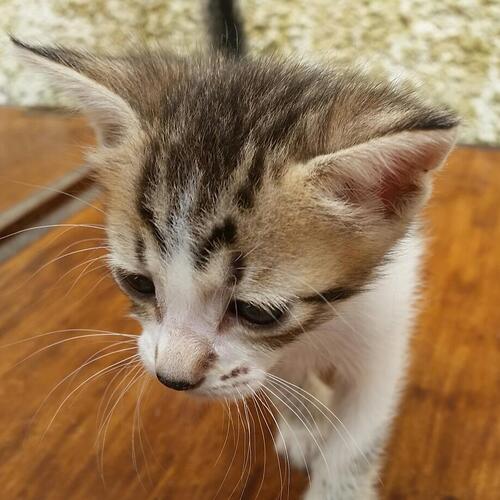 IMG_20180129_123517_989