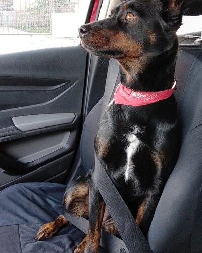 IMG_20190708_165601_012