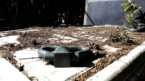 20170704_122445_resize_90