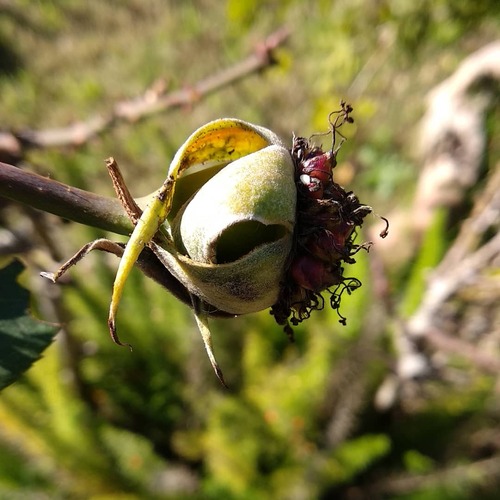 IMG_20180629_211713_296