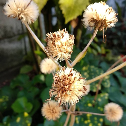 IMG_20180629_211713_297