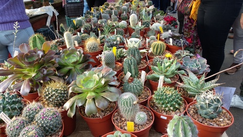 IMG_20180923_173327_resize_73