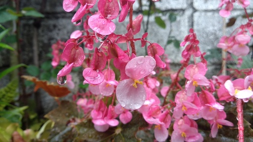 IMG_20181012_132246_resize_32