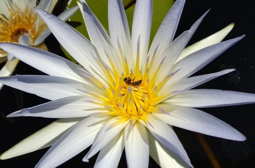 IMG_20190217_113038-01_resize_9