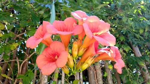 IMG_20190217_130040_resize_71