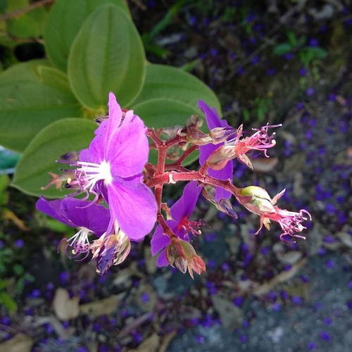 IMG_20190224_105113_610