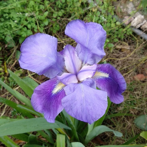 IMG_20190718_125839_204_resize_9