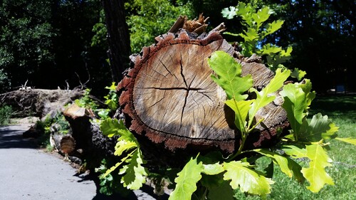 20170121_123143_compress64