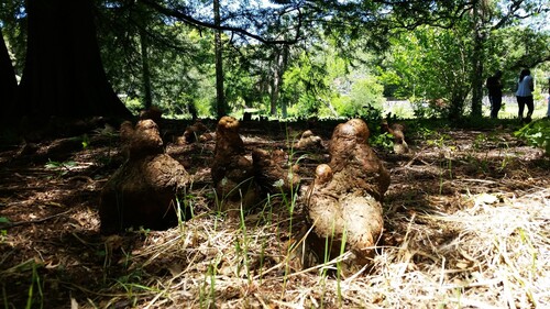 20170121_125553_compress62