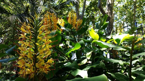 20170121_130620_compress56