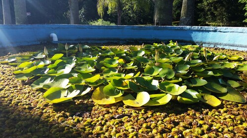 20170121_172014_compress62