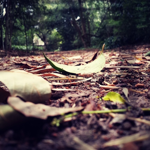 C360_2016-01-23-16-51-03-591