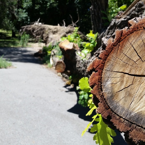 IMG_20170121_141321_147_resize_35