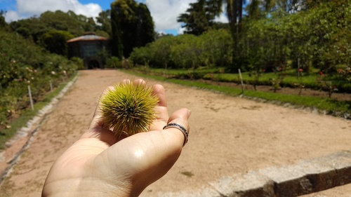 IMG_20190217_121006_resize_92