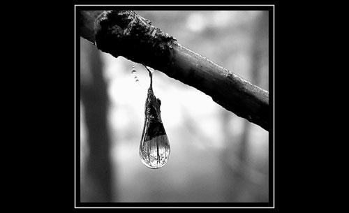 La-llamada La-llamada